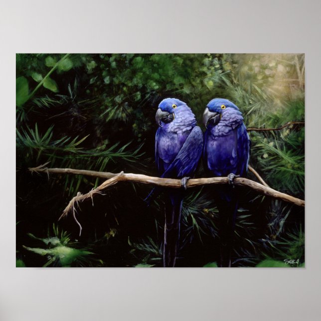 Poster Jumeaux (Devant)