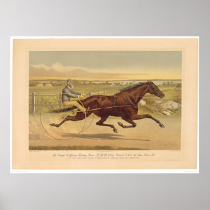 Poster Jument grande Sunol (0652A) de trot de la