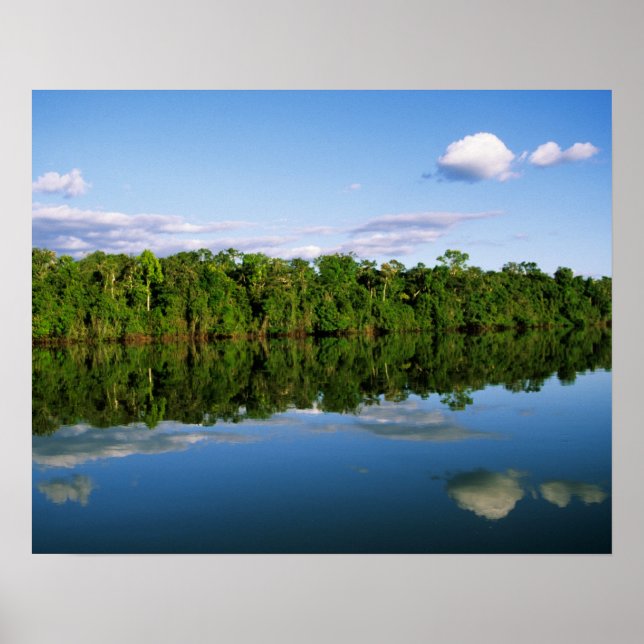 Poster Juruena, Brésil. Rive boisée de la rivière reflété (Devant)