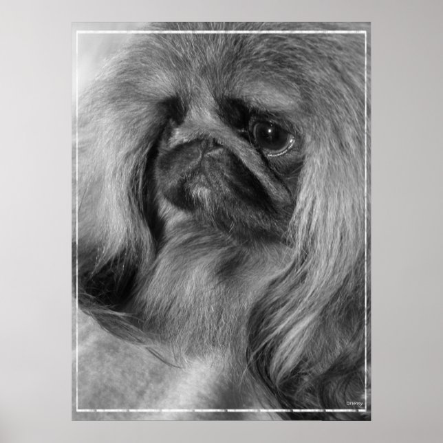 Poster Juste Jeroen (Devant)