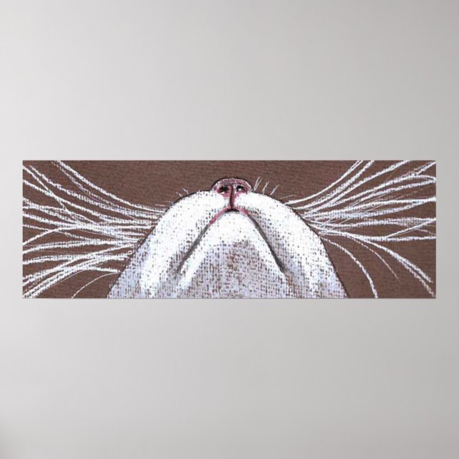 POSTER JUSTE LES CHATS WHISKERS 2 (Devant)