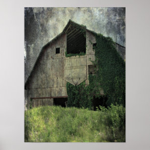 Poster Kalona Barn et Ivy