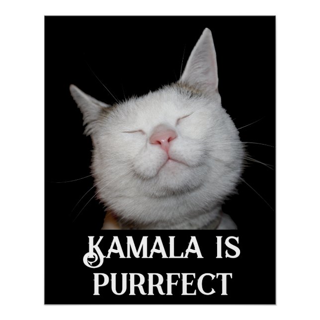 Poster Kamala est parfait (Devant)
