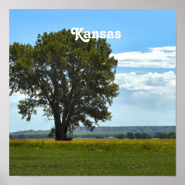 Poster Kansas (Devant)