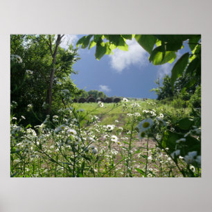 Poster Kansas Meadows et Fleurs sauvages