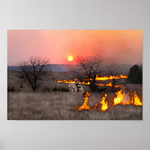 Poster Kansas Rancher Checks Fire Line