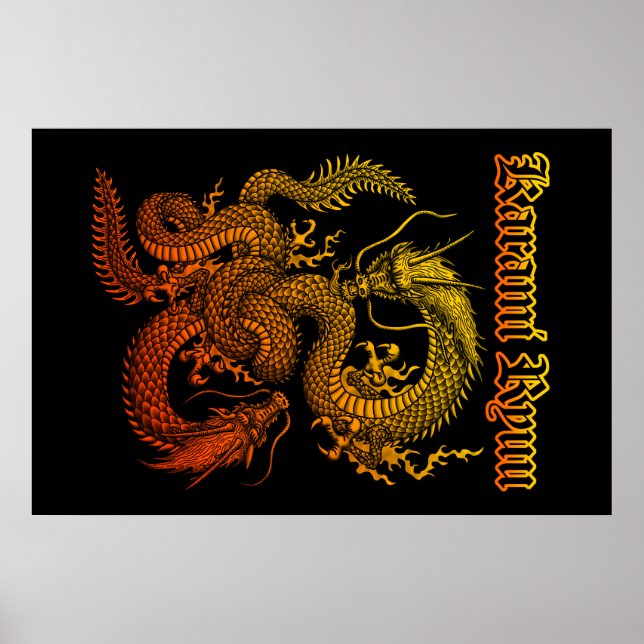 Poster Karami Ryuu 1a (Devant)