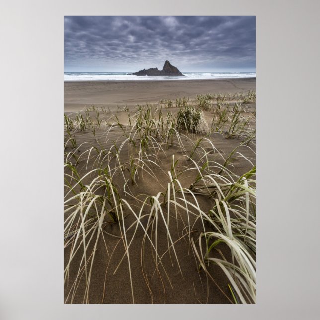 Poster Karekare Beach | Panatahi Island, West Coast (Devant)