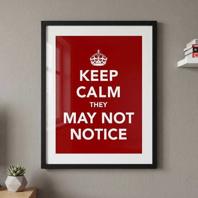 Poster Keep Calm They May Not Notice (Créateur téléchargé)