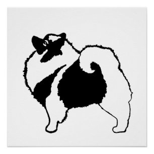 Poster Keeshond Graphics - Cute Original Chig Art