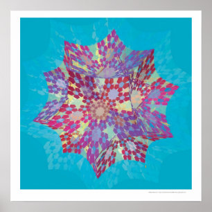 Poster Kepler Partiel