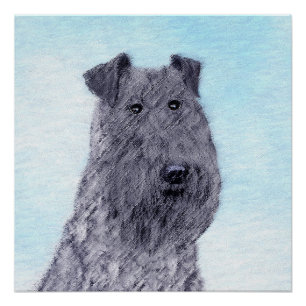 Poster Kerry Blue Terrier peinture mignonne Chien d'origi