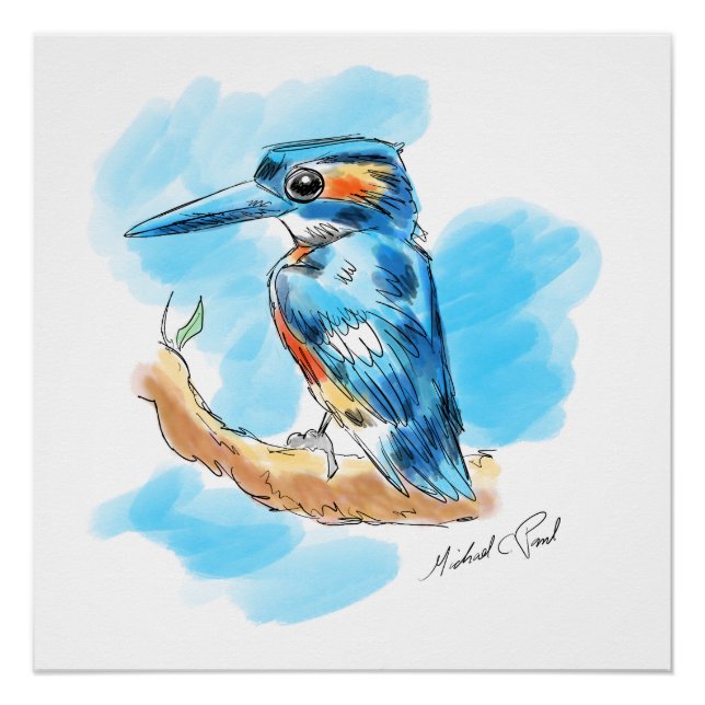 Poster Kingfisher (Devant)