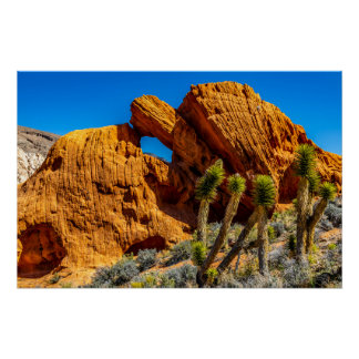 Poster Kissing Turtle Rock Glossy