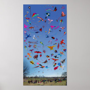 Poster Kites Kites Kites Kites In the Sky