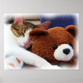 Poster Kitty avec ours en peluche Imprimer