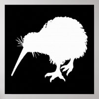 Kiwi Bird