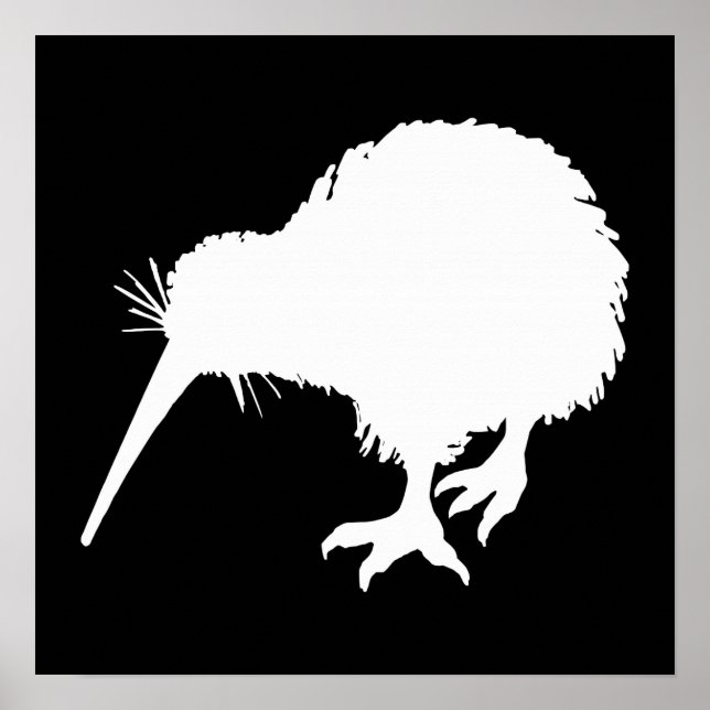 Poster Kiwi Bird (Devant)