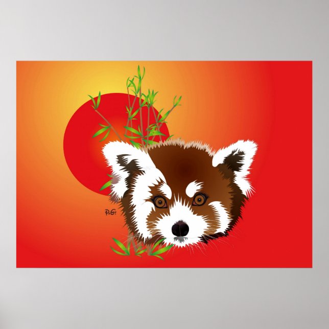 Poster Kleiner Panda (Ailurus fulgens) (Devant)