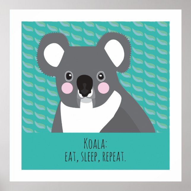 Poster Koala (Devant)