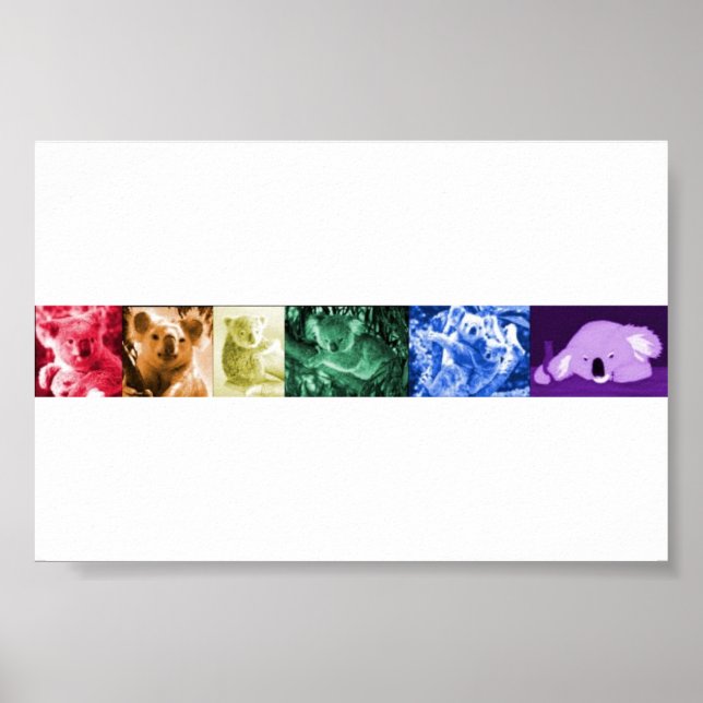 Poster Koala Love (Devant)