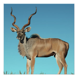 Poster Kudu
