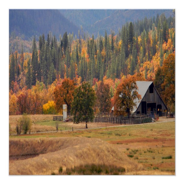 Poster La beauté automnale à Hayfork, Californie... (Devant)