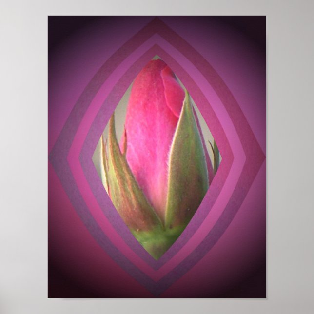 Poster La beauté dans l'ombre (Devant)