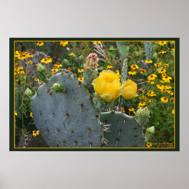 Poster La beauté et la bête (Devant)