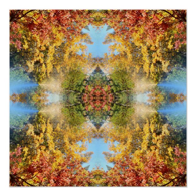 Poster La belle forêt d'automne... (Devant)