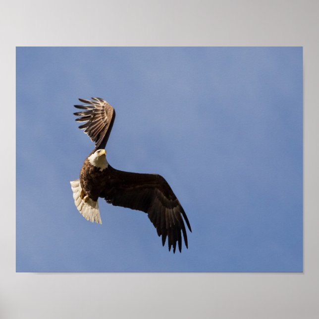 Poster La Cartographie Du Ciel (Devant)