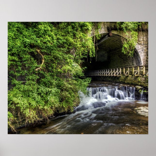 Poster La cascade Glem de Corbett (Devant)