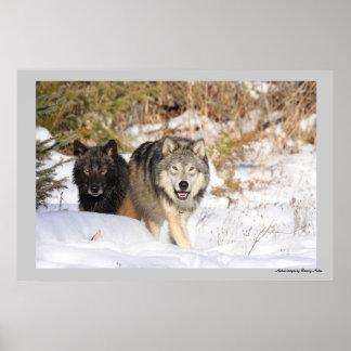 Poster La chasse