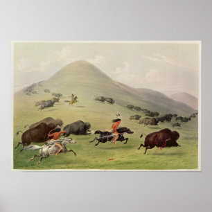 Poster La chasse de Buffalo, c.1832