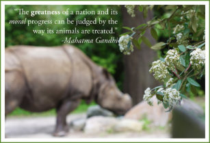 Posters Affiches Citation Gandhi Zazzle Fr
