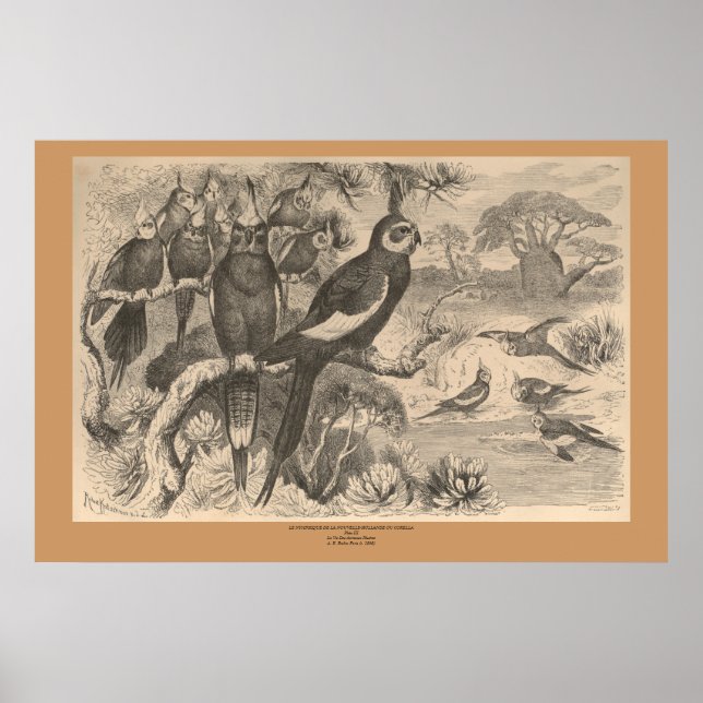 Poster La Corella (Devant)