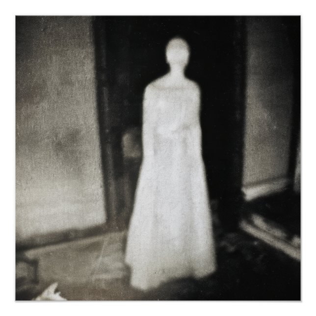 Poster La Dame Blanche (Devant)