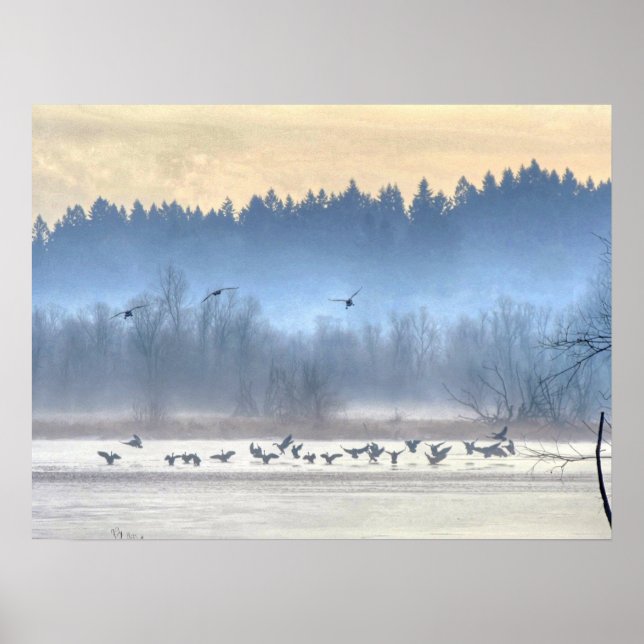 Poster La danse des canards1 (Devant)