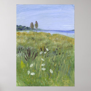 Poster La dentelle de la reine Anne