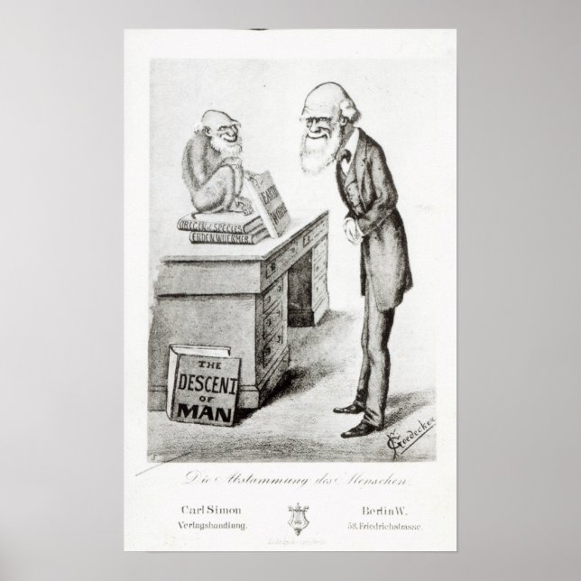Poster La descente de l'homme (Devant)