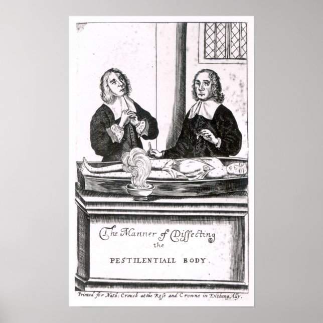 Poster La façon de disséquer le corps péestilentiel (Devant)