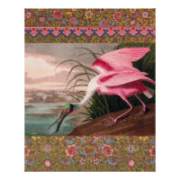 La faune des oiseaux d'Audubon de Spoonbill Roseat