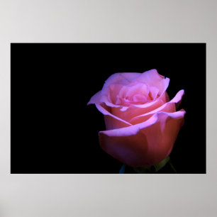 Poster La fleur la plus douce qui souffle…