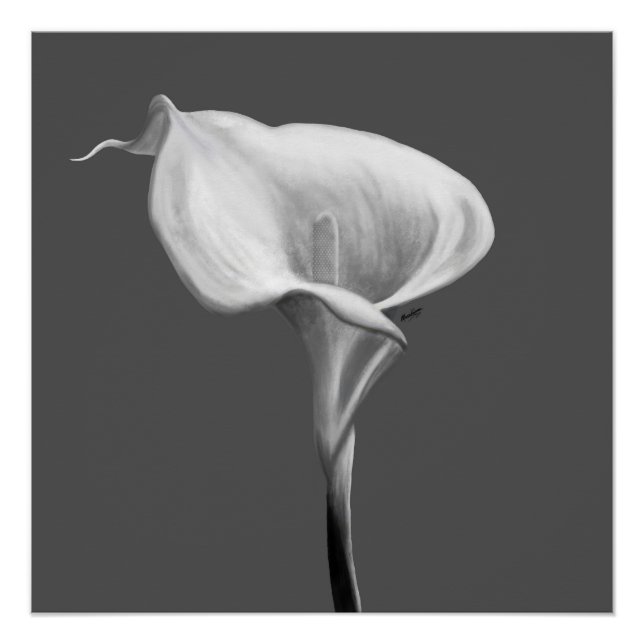Poster La Fleur Tranquille — Lys Calla Noir & Blanc  (Devant)