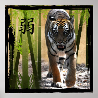 Poster La force de Christin