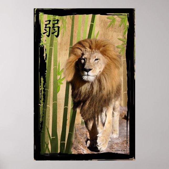 Poster La force de Christin (Devant)