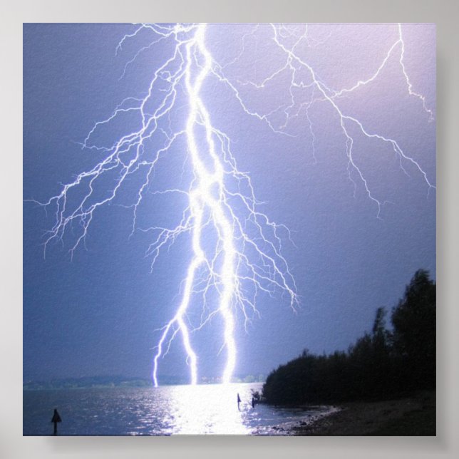 Poster La force et la beauté des nations (Devant)