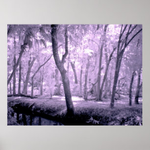 Poster La forêt de Samurai