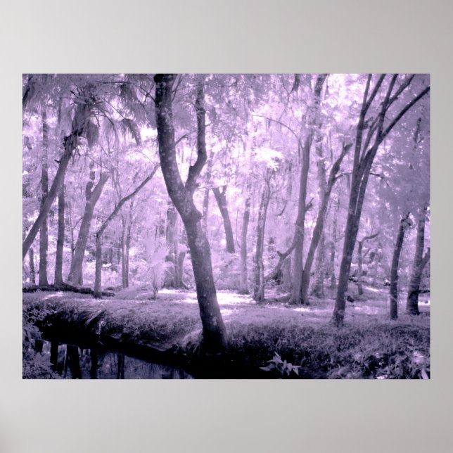 Poster La forêt de Samurai (Devant)