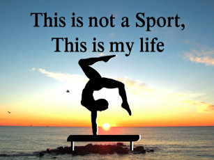 Cadeaux Citation De Gymnastique Zazzle Fr